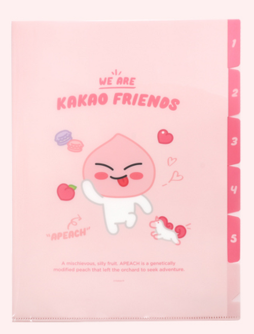 카카오프렌즈 5포켓 파일, 1개, 어피치