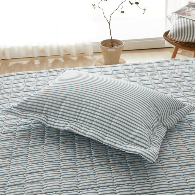 마샤홈 세미 마이크로 알러지케어 베개커버 2p