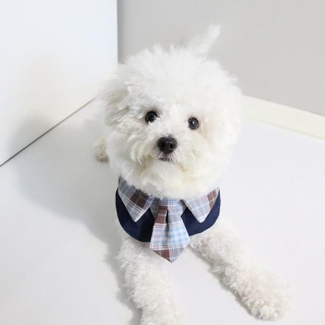 드림계곡 체크무늬 학원 스타일 강아지 스카프, 1개, 블루