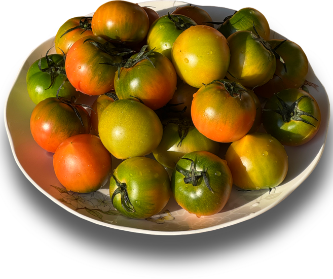 [품절임박] 대저토마토 짭짤이, 1개, 한정특가)_2.5KG ( L-2L) 가정용