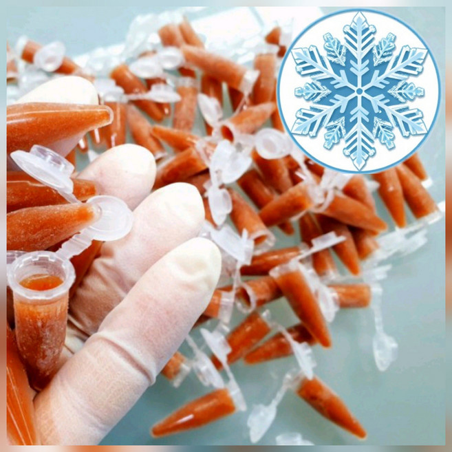 브라인쉬림프 튜브 48개 2세트 총96개 구피밥 안시 디스커스사료 브라인슈림프 부화 냉브, 1.5ml