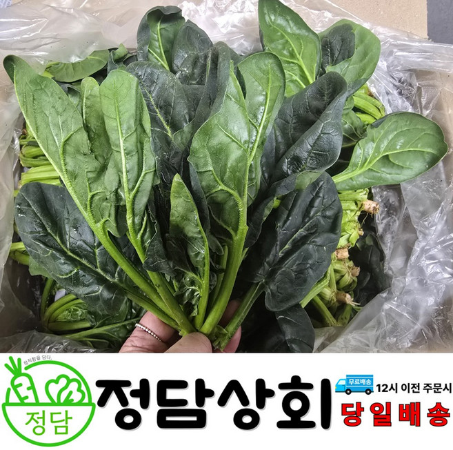 [ 정담상회 ] 국내산 시금치 지방시금치 1kg 2kg 4kg 내외, 1박스