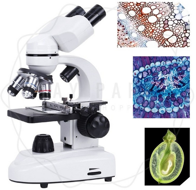 제이스튜 초정밀 양안 광학 현미경 스마트폰 연결 고배율 풀세트, 20만배현미경+캘리퍼스+키트+핸드폰거치대+가방