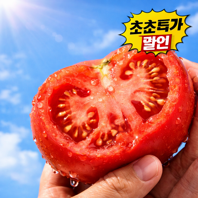 [초특가한정100박스] 산지직송 과즙미폭발 재구매율1위 완숙토마토, 1박스, 10kg