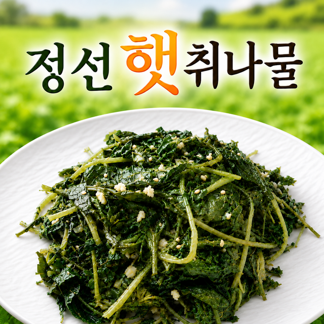 [담은아침] 국내산 정선 햇취나물 건취나물, 3개, 120g