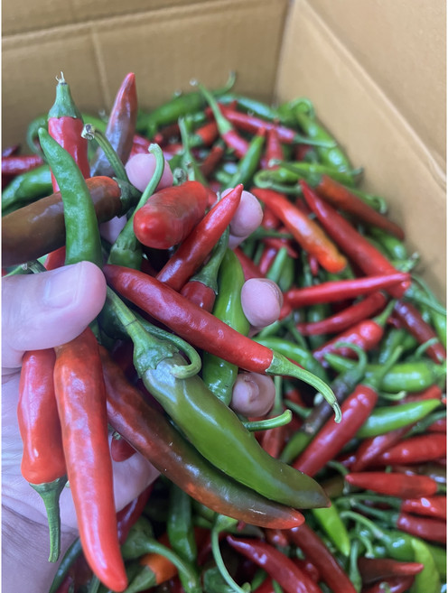 못난이 청양고추 매운고추 땡초 혼합 10kg, 1박스, 청양혼합