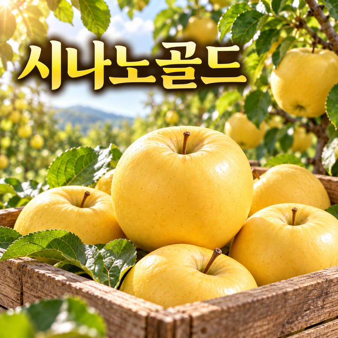 고당도 시나노골드 사과 산지직송 햇사과, 1박스, 5kg/중과