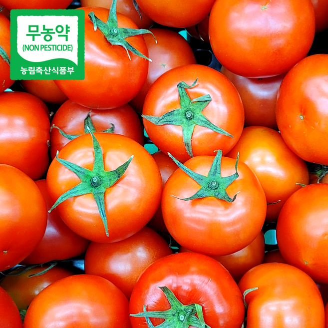 무농약 완숙토마토 친환경인증 신선한 토마토, 1박스, 3kg