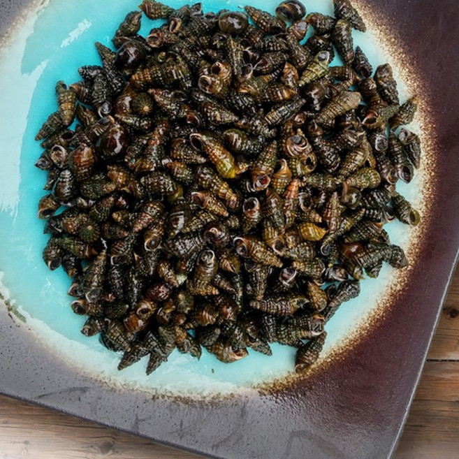 영월 평창다슬기 100% 자연산 생다슬기 고급형, 1박스, 2kg