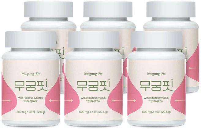 공식 무궁핏, 45정, 6개 - 쿠팡