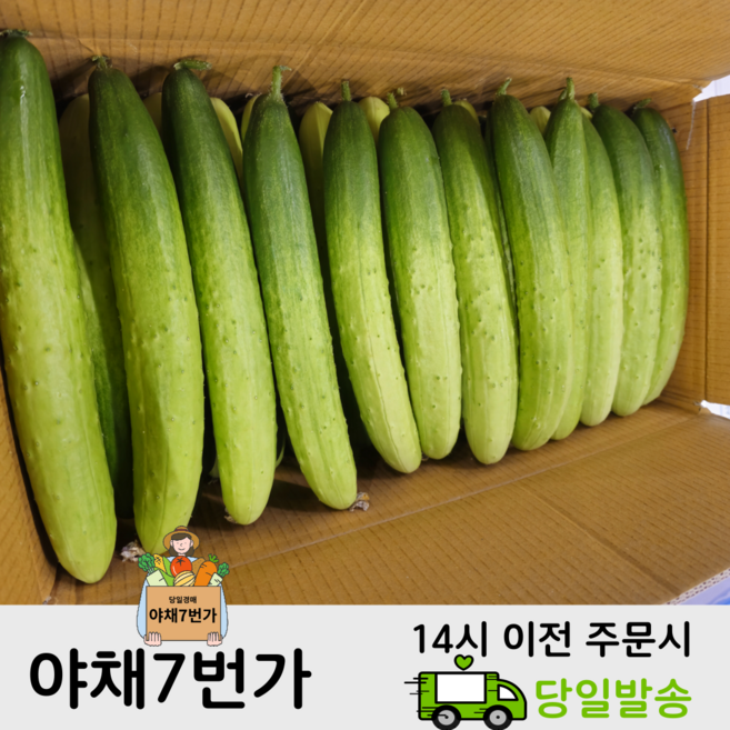 야채7번가 수분가득 백다다기오이 가정용 특품 3kg 5kg 10kg 1박스, 1개