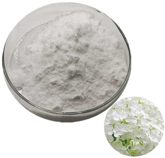 수국잎열수추출분말 100g 샘플, 1개, 단품