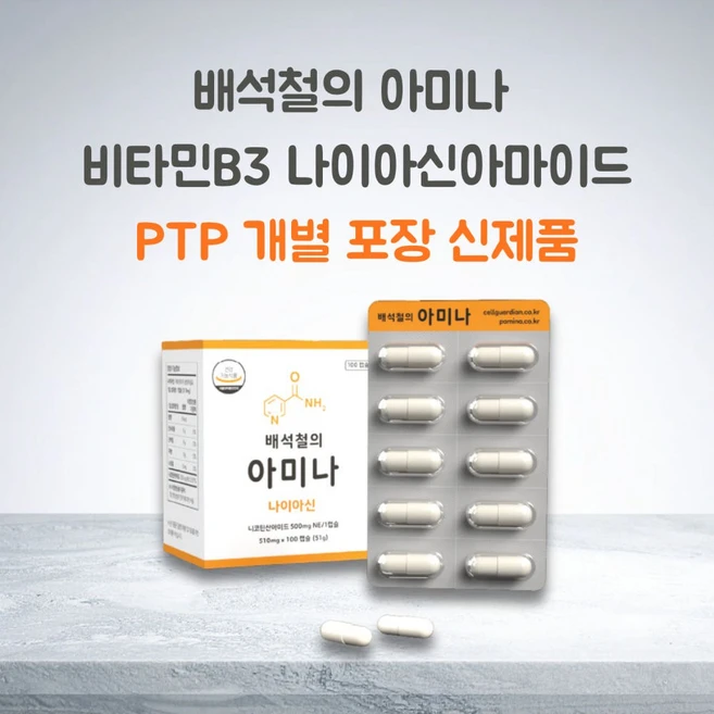 신제품 PTP 배석철의 아미나 비타민B3 니코틴산아미드 500mg, 1개, 100정 - 쿠팡