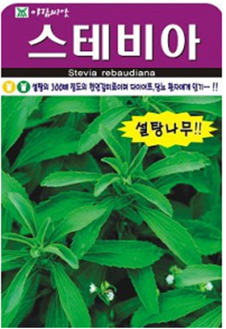 허브 스테비아 씨앗 (합 100립) 허브씨 종자, 2개