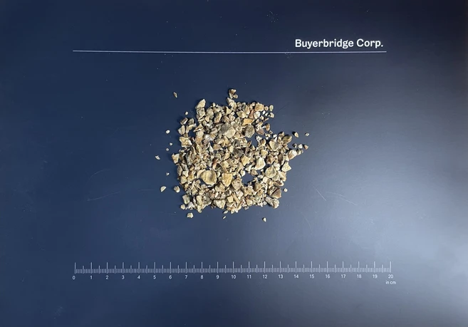 건조 악마의 발톱 Devil’s Claw Harpagophytum procumbens 100g, 1개 - 쿠팡