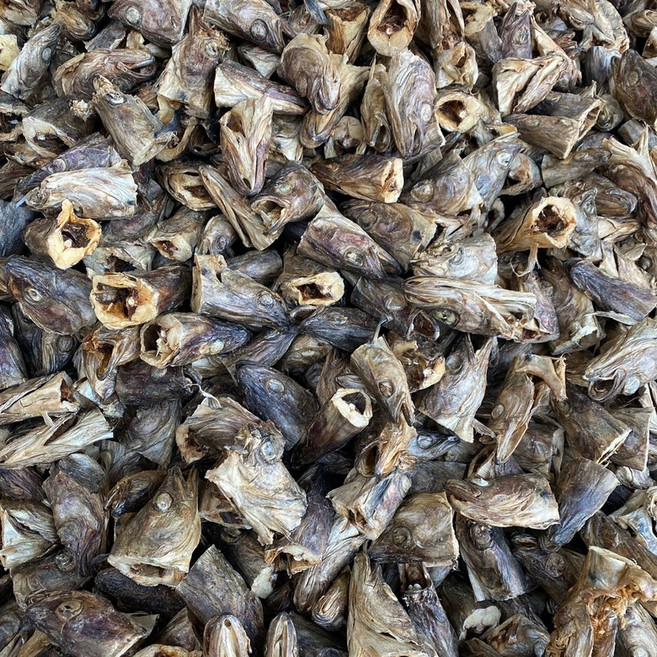 바다플러스 북어대가리 머리 육수용 김장재료 특품 500g, 1개