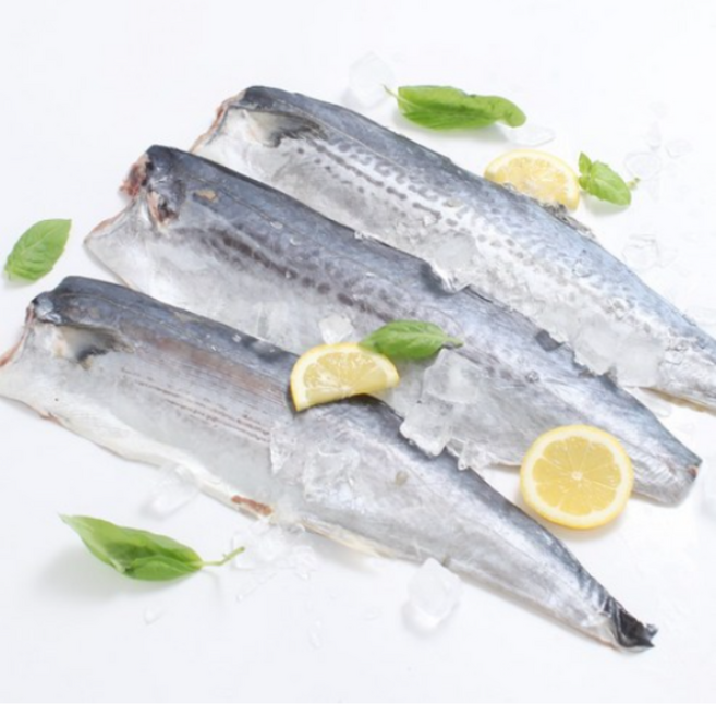국내산 저염 삼치필렛, 1개, 120g~150g미만(국내산)*3팩