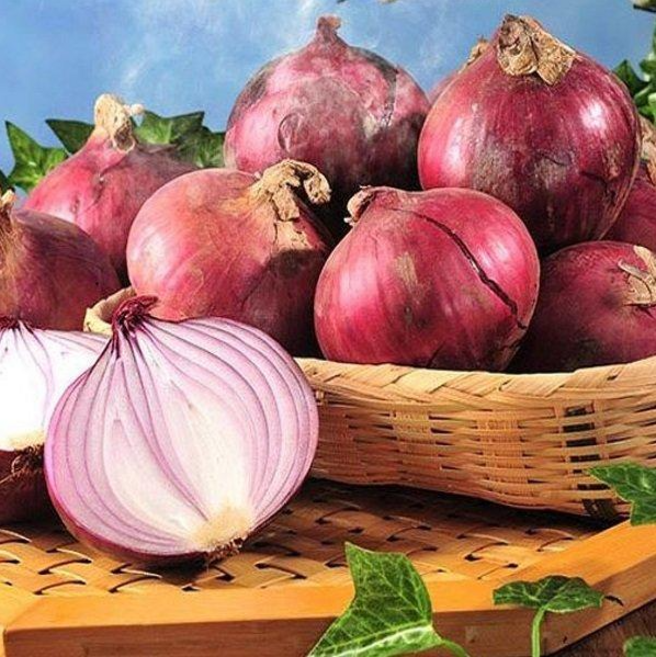 나애게 햇 무안 자색 양파 중대 3kg 5kg, 1개