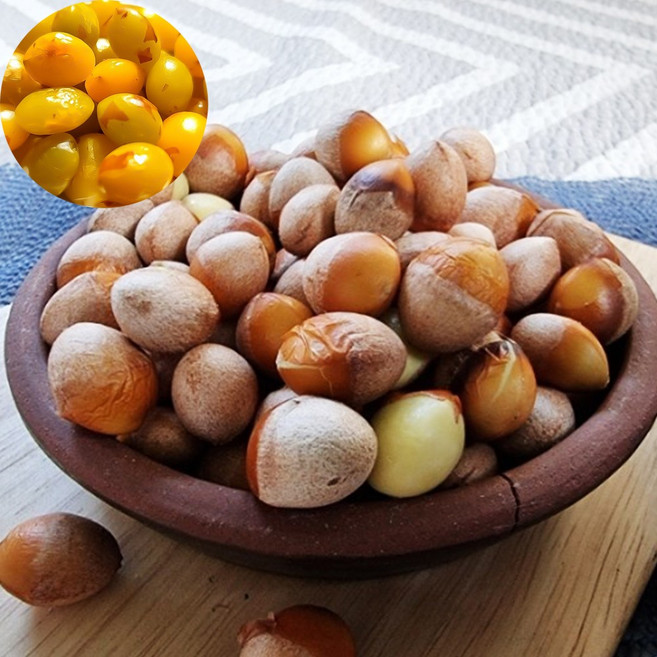 국내산 햇피은행 안깐은행 깐은행 500g 1kg 피은행, 1개, 깐은행 중 사이즈