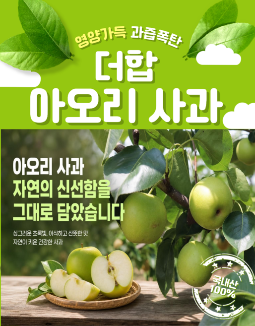 국내산 고당도 아오리 사과 상큼한 초록사과 풋사과, 1박스, 5kg