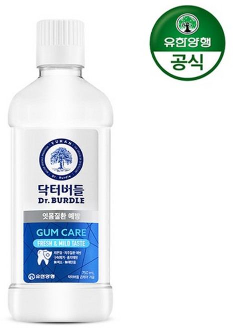 닥터버들 검케어 가글 750ml 치은염 치주염 잇몸질환 관리, 1개