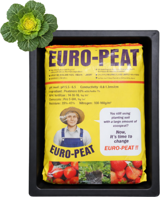 직사각 베란다 가정용 옥상 고무다라이 채소 분갈이 화분 텃밭 세트, 1개, 반영구적 직사각 고무화분 + 유럽 프리미엄 상토 20L