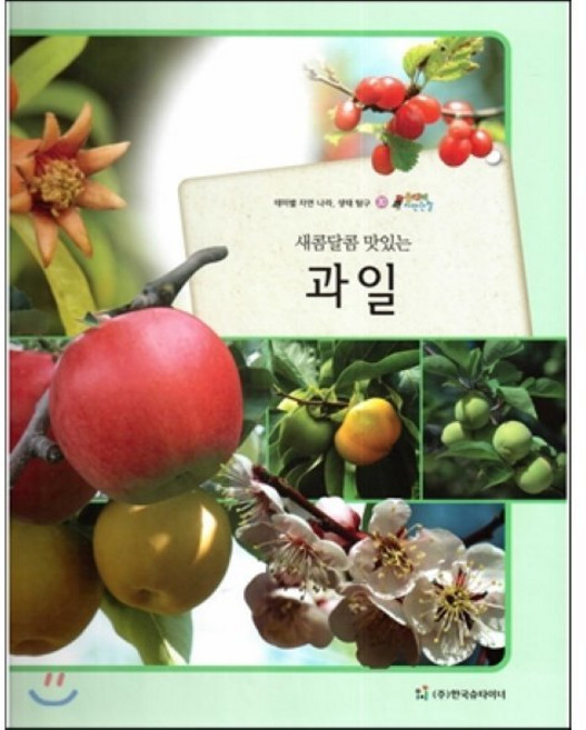 올빼미 자연관찰 30 새콤달콤 맛있는 과일 (식물), 한국슈타이너