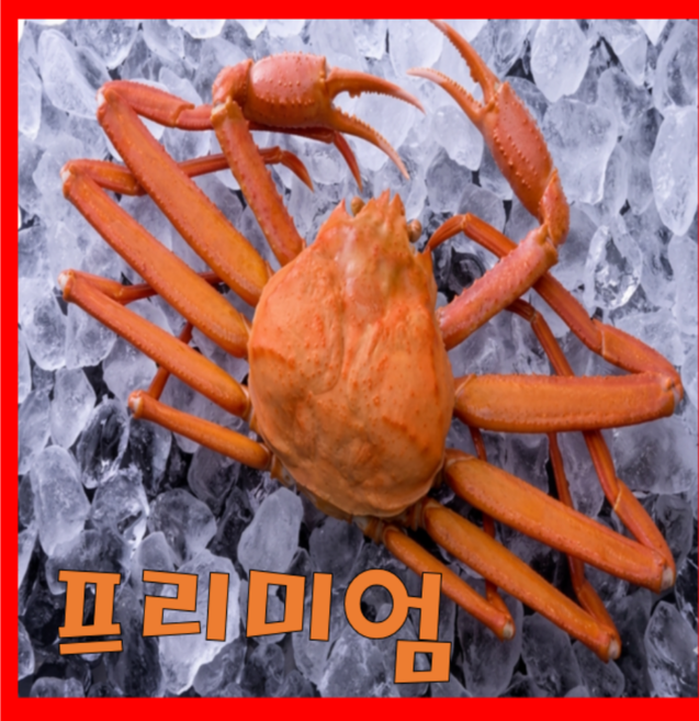 [산지특품] 선주직송 살꽉찬 울진후포항 자숙붉은대게, 1박스, 3미*1.3kg