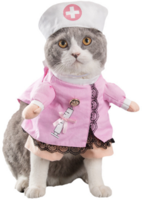 할로펫 반려견의류_간호사&의사&경찰 코스튬 캐릭터, 1개