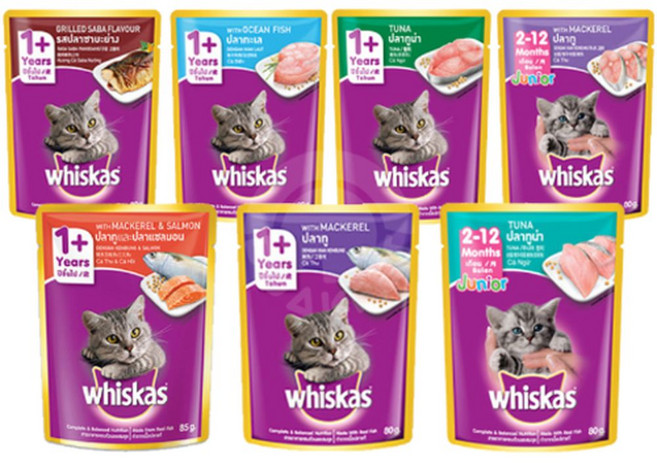 (10개묶음)(위스카스) 파우치 주니어참치 80g