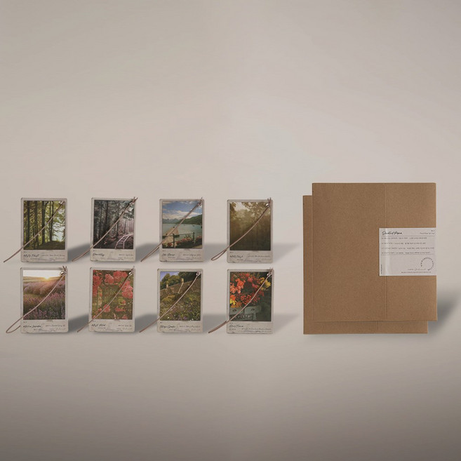 그리니티센트 종이방향제 우드 플로럴 그린 (8p SET) 호텔 욕실 화장실 벽걸이 차량용 옷장 실내 방향제 시그니처 향, 우드 플로럴 그린 세트 (8p), 1미스티포레스트2던모스3레이크브리즈4민티프레쉬, 5라벤더6모이스트페탈7코티지가든8듀이플라워