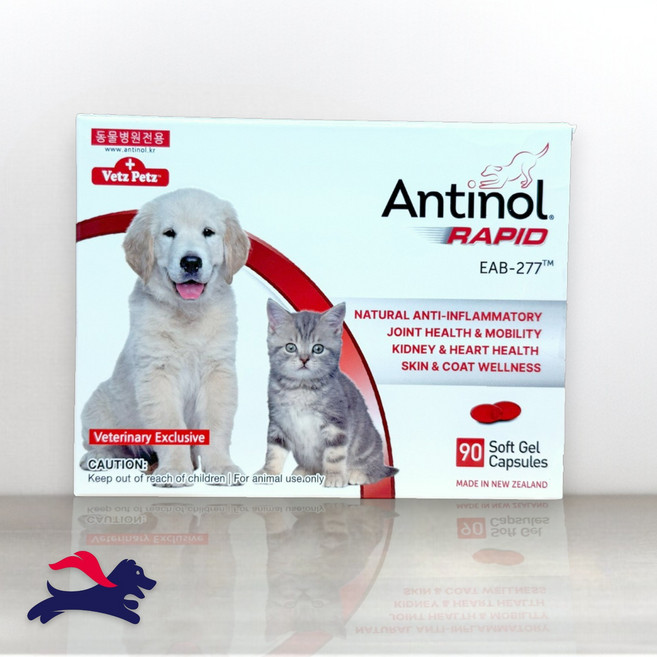 안티놀 래피드 관절영양제 90캡슐, 90정, 뼈/관절강화, 1개