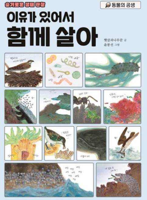 이유가 있어서 함께 살아 : 동물의 공생, 시공주니어, 슬기로운 생태 관찰, 상세 설명 참조