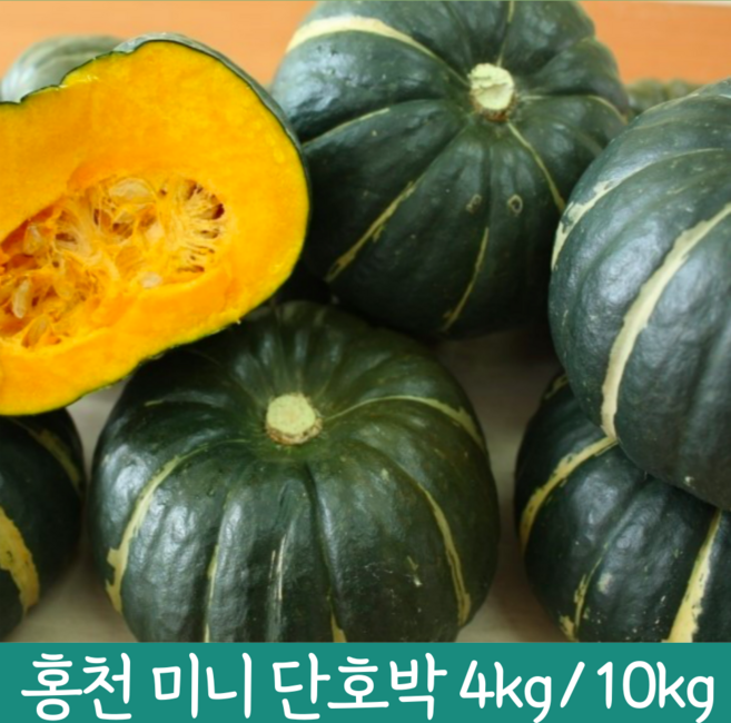 국산 달달한 강원도 보짱 보우짱 홍천 단호박 제철 못난이밤호박 해남 미니밤호박 손질 햇 꼬마 단호박 4kg 10kg