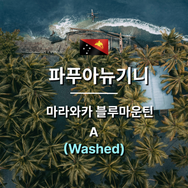 [커피생두] 파푸아뉴기니 마라와카 블루마운틴 워시드 1KG, 1개