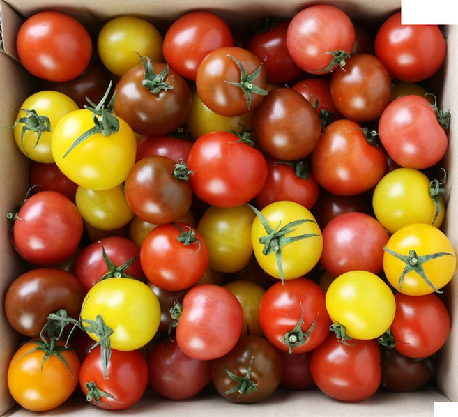 칵테일토마토 4kg, 1개