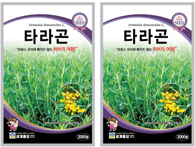 타라곤 씨앗 2000립 허브씨앗 세계종묘 모칸도, 2개