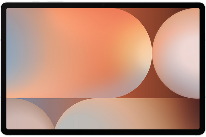 삼성전자 갤럭시탭 S10 플러스 256GB/512GB, Wi-Fi, 256GB, 플래티넘 실버