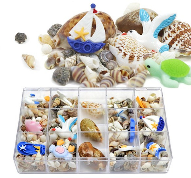 (재미스쿨) DIY 조개껍질 혼합 15칸 + 피규어 케이스 조개껍데기