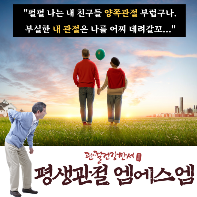 콘드로이친 보스웰리아 유향나무 원물 보다 더 미국인기 관절영양제 msm 글루코사민 을 단품 1+1 1+2 2+2! 손가락관절염 고관절통증원인 무릎뒤쪽통증 msn 이도움될수도있습니다, 60정, 1개