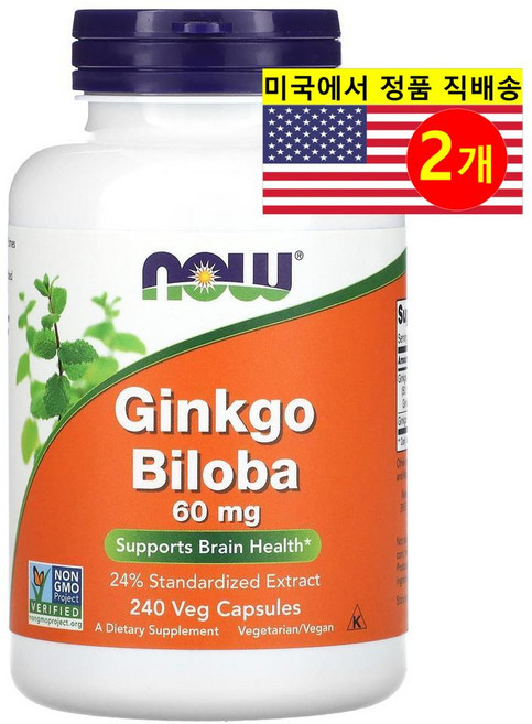 NOW Foods 나우푸드 은행나무 추출 60mg Ginkgo Biloba, 2개, 240정