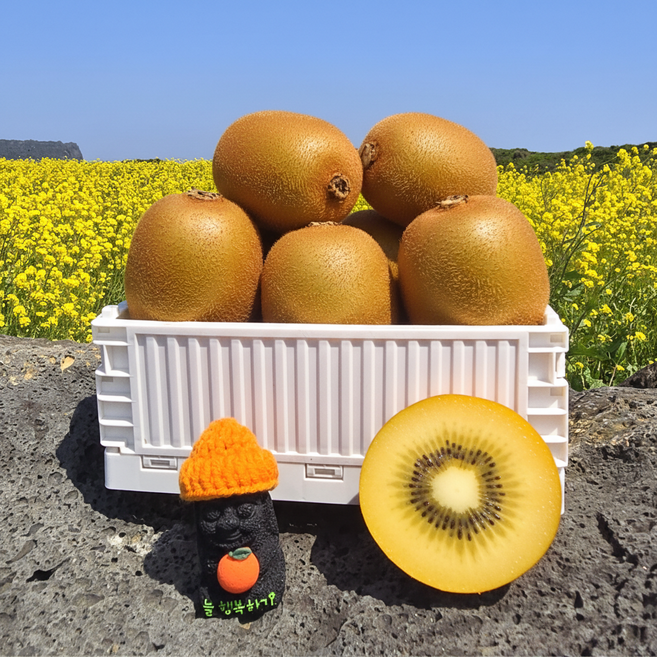 [전국최저가] 재구매폭주 초고당도Brix 골드키위, 1박스, 2kg