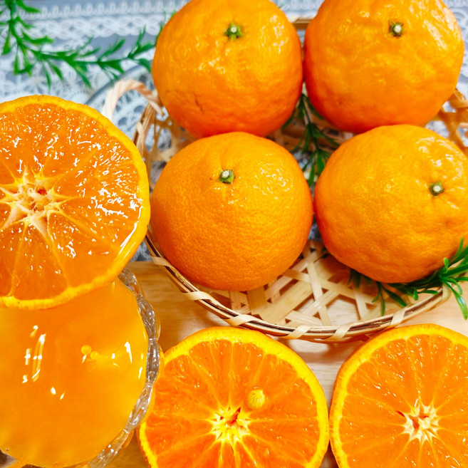 [맛없음반품] 고당도 제주 카라향 산지직송 선물용 가정용, 가정용포장, 카라향(대과귤) 10kg(56~69과내외), 1개