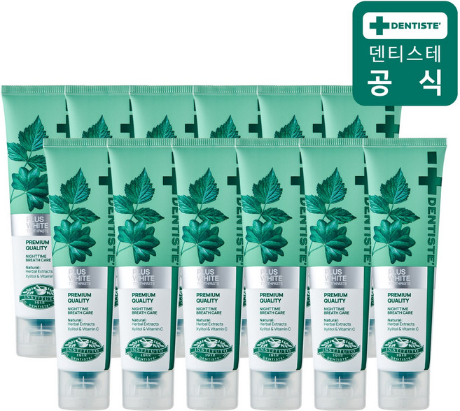 덴티스테 치약 뉴플러스화이트 60g 12개 치태제거 무불소, 덴티스테 치약 뉴플러스화이트 60g 12개 치태제거 무