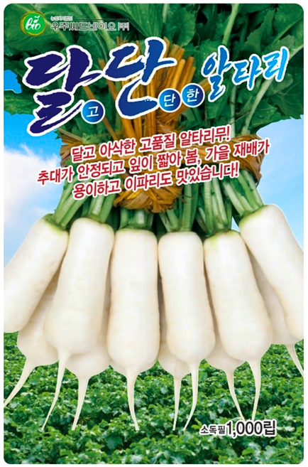 달단 알타리 씨앗 1000립 달고 아삭한 잎이 짧은 봄 가을 알타리무 씨 종자, 1개