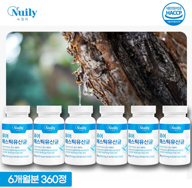뉴일리 퓨어 매스틱 유산균 60정 HACCP인증 매스틱키오스골드90% 유산균사균체 함유, 6개