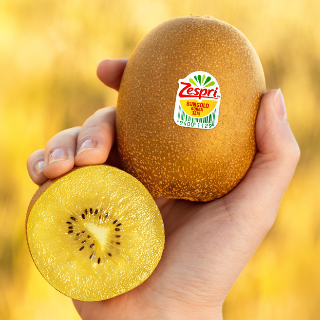 제스프리 썬골드키위 팩하우스직송 2kg 당일출고/점보/슈퍼점보 옵션확인필수, 1개, 점보 개별 155g내외 13개입