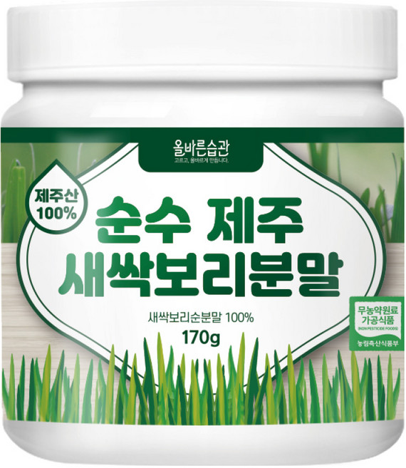 올바른습관 순수 제주 새싹보리 분말, 170g, 1개