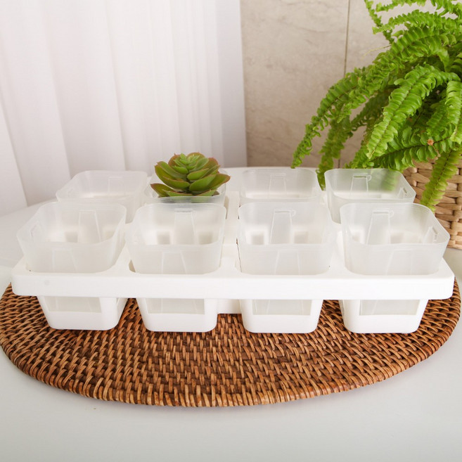 세경팜 일본 카네야 삽목 슬릿화분 8개 + 8구 트레이 세트, 투명 8개, 화이트, 1개