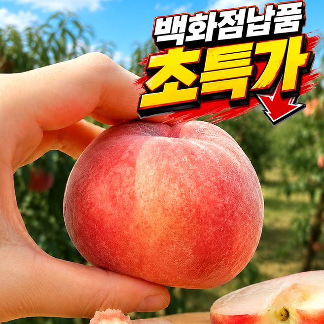 10위 - [50박스한정초특가] 초고당도 대극천 반납작 복숭아, 1박스, 1kg